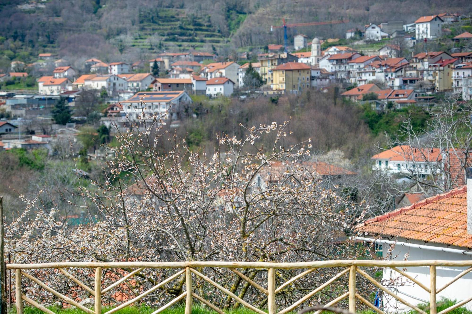 Appartamenti Aria Di Verde Agerola Extérieur photo